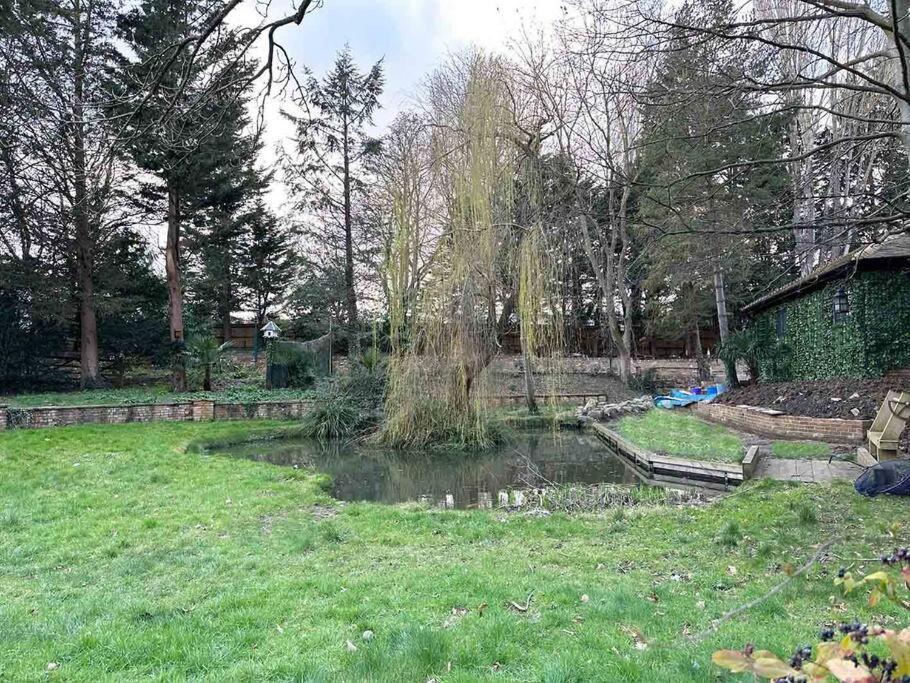 Forest Studio Apartment Gated Parking On 2 Acres Garden Chislehurst Exterior foto